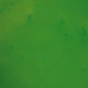 Apple Green metallic epoxy swatch