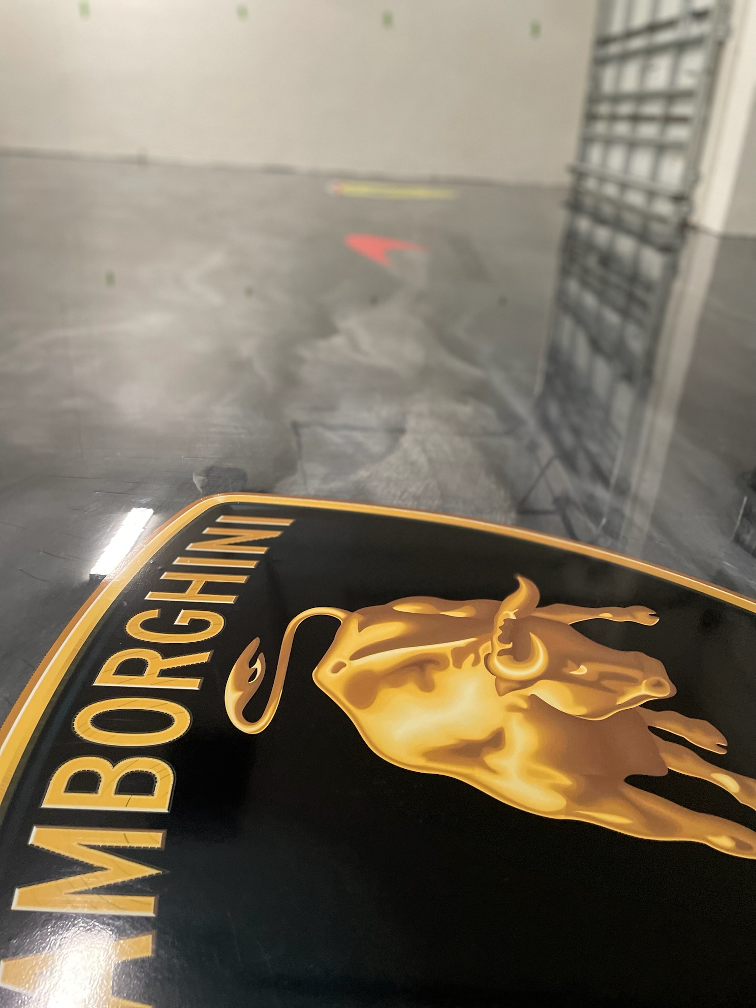 Residential metallic epoxy
